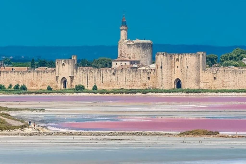 Studio En Petite Camargue Le Cailar Exterior photo